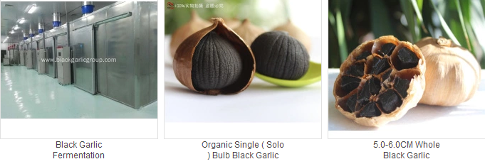 solo black garlic 