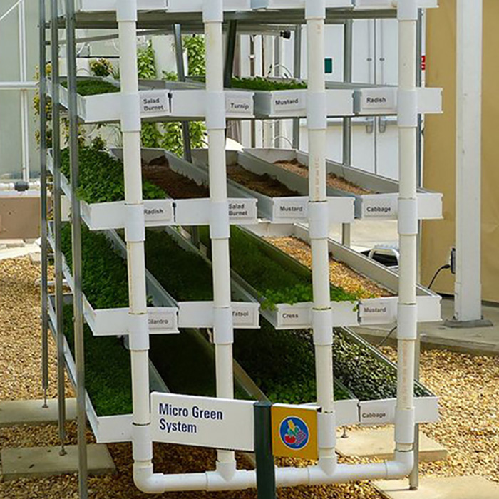 Large Scale Hydroponic Microgreen Rack