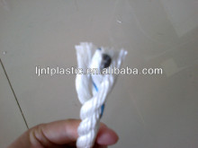 Danline Rope(3/4 strands)