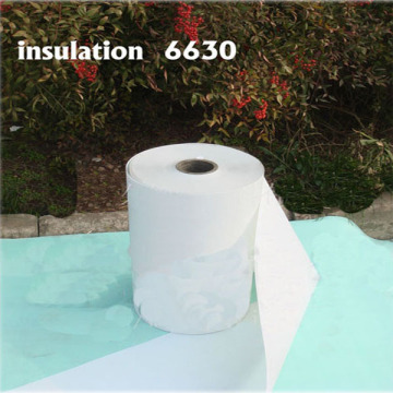 Polyester Fiber Non-Woven Polyester Film Flexible Composite Material (dmdm)