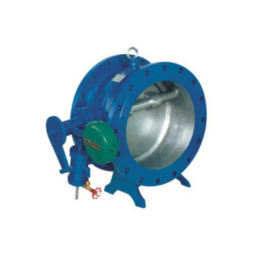 Butterfly Non-slam Check Valve