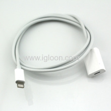 Lightning Extension Cable Charger And Sync Date Transfer?
