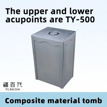 Système de tombe à points d'acupuncture à double fosse TY-500