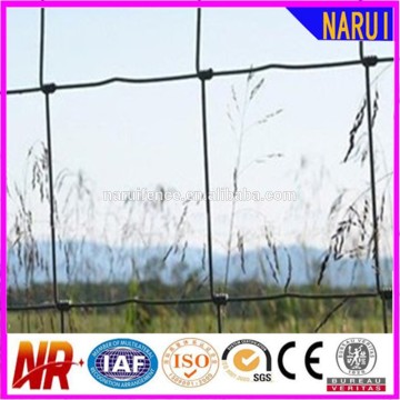 Factory Price Galvanized Farm Fence