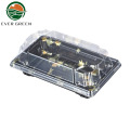 Disposable Takeaway Plastic Serving Sushi Tray Food Platter