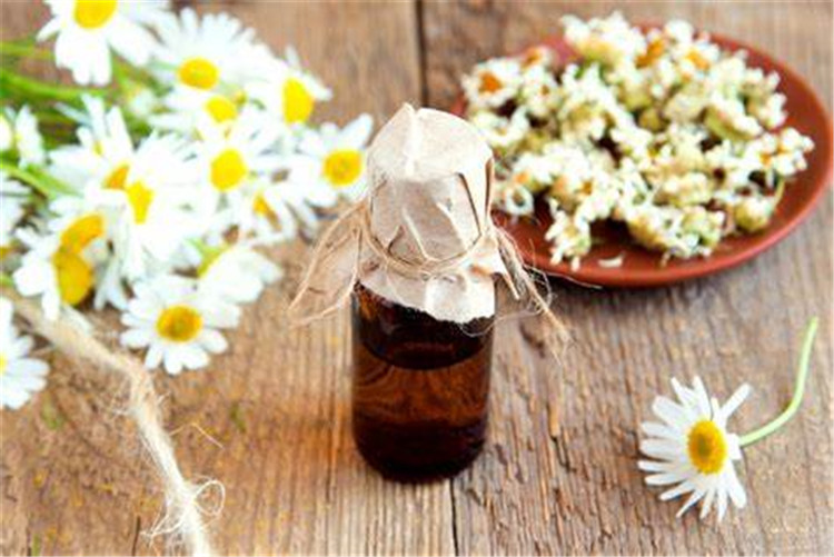 High Quality Natural Chamomile Essential Oil