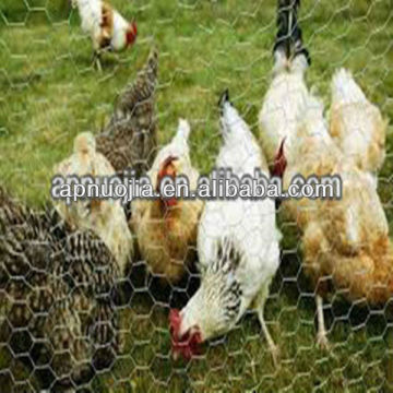 Best Price galvanized Chicken Wire Mesh(Factory&ISO9001)