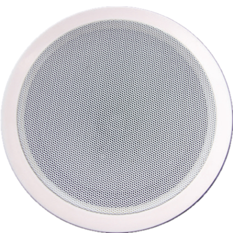 Ceiling Speaker