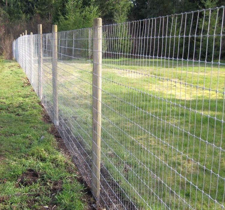 hot dip galvanized farm fence filed fence