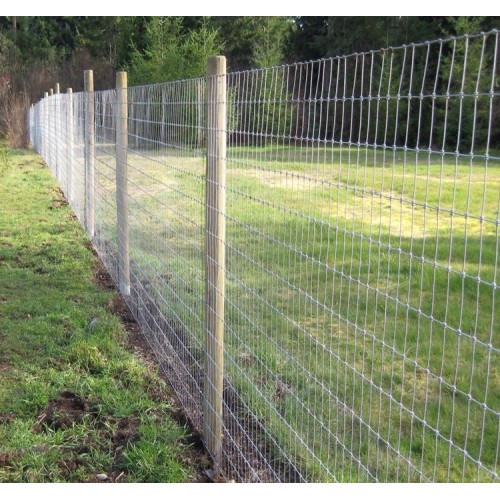 farm animal cattle filed sheep horse mesh fence