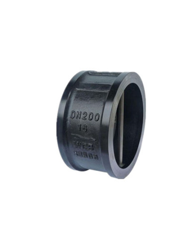 Dual plate air flap check valve