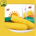 Maize Crop