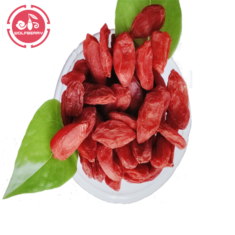 Wolfberry / Lycium Barbarum / Doğal Goji Karpuzu