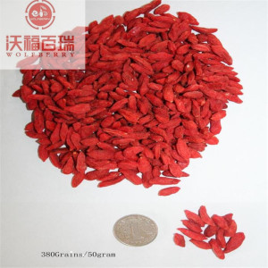 Hoogwaardige Chinese Herb Superfood Nutritional Goji-bessen