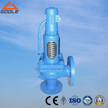 DIN Ari GS-C25 Steam Safety Relif Valve (GA900)
