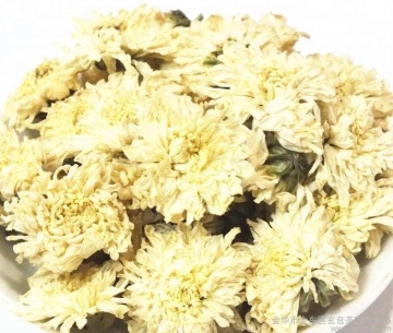 Organic Yellow Chrysanthemum Tea