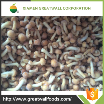 Purchase frozen wild button mushroom price