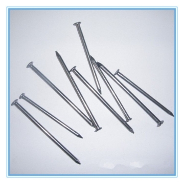 Polished common wire nails staples