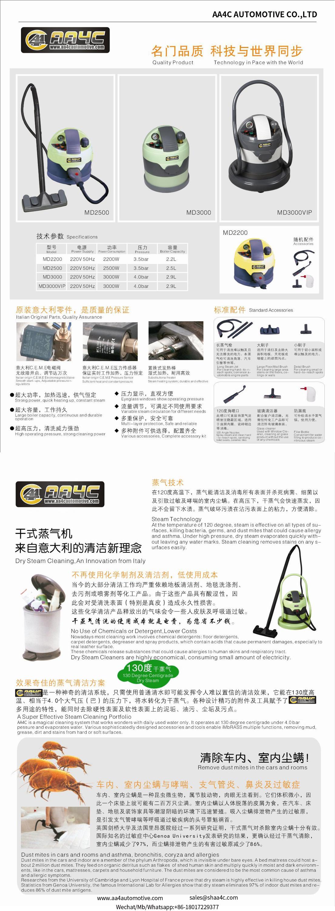 Dry type steam cleaner