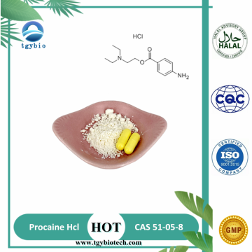 API Raw Meterial Procaine HCL Powder 51-05-8