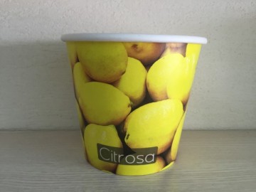 Garden Decorative Disposable Paper Flower Pots