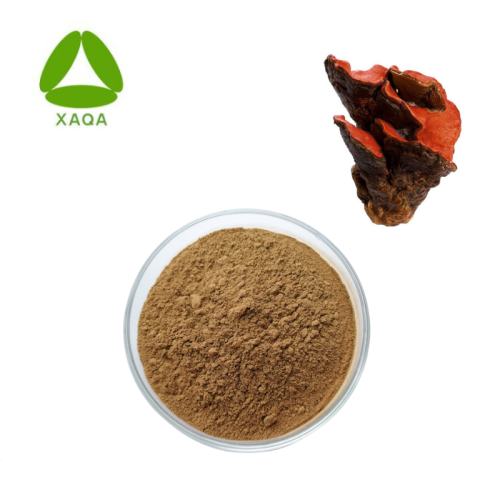 Antrodia Camphorata Extract Anti-Allergy 50% Polysaccharid