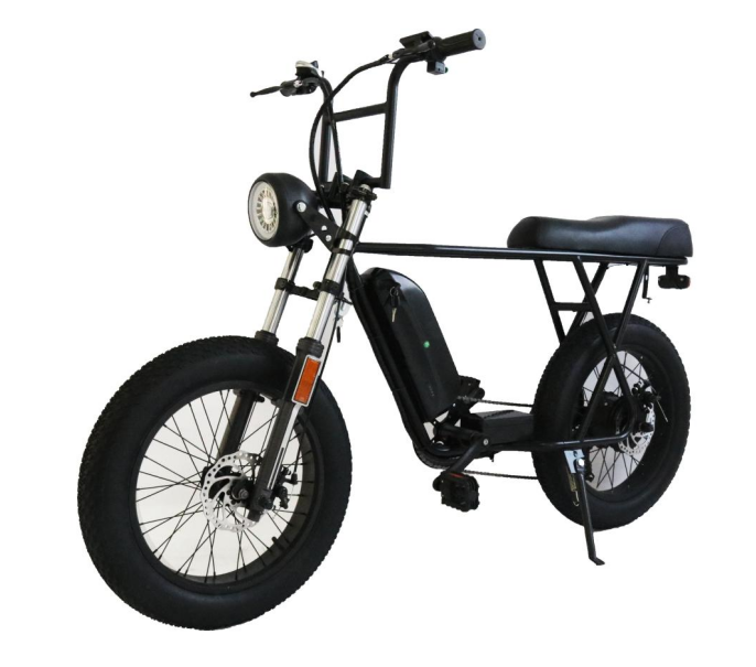 mountain electric bicycle