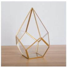 Plants Glass Terrarium Geometric Pentagon Fern Moss