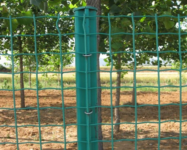 Anping factory PVC coated holland wire mesh fence for sale