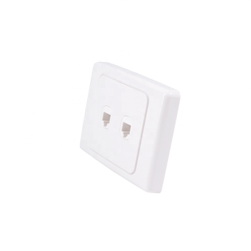 Dual RJ45 Connector Wall Plate - AU Compatibility