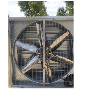 Single Phase Exhuast Fan for Factory Ventilation