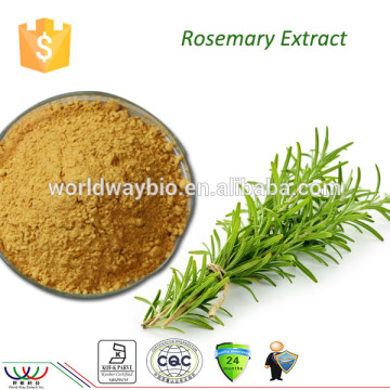 Natural antioxidant factory rosemary extract 25% rosmarinic acid 50% carnosic acid