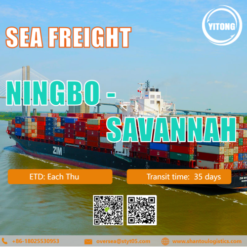 Freight di mare internazionale da Ningbo a Savannah