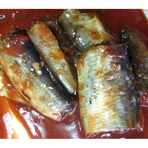 Heringsfisch in Dosen in Tomatensauce