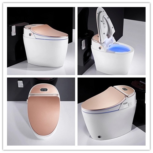 One Piece Rose gold Floor dipasang Smart Toilet