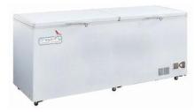 Economic Type 308L Deep Chest Freezer / Chest Refrigerator