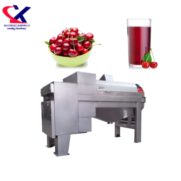 Best Olive Pitter | Apricot Olive Cherry Stone Remover Machine | Olive Pitting Machine