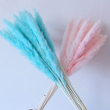 Factory Wholesale Eternal Reed Natural Dried Pampas Grass Centerpieces