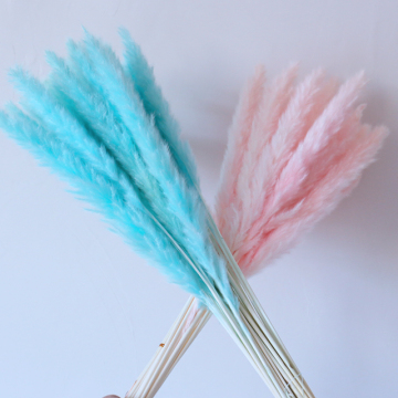 Factory Wholesale Eternal Reed Natural Dried Pampas Grass Centerpieces