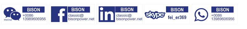 BISON China 5KW Portable Electric Generator Single Phase Gasoline Generator Price 5kva Generator
