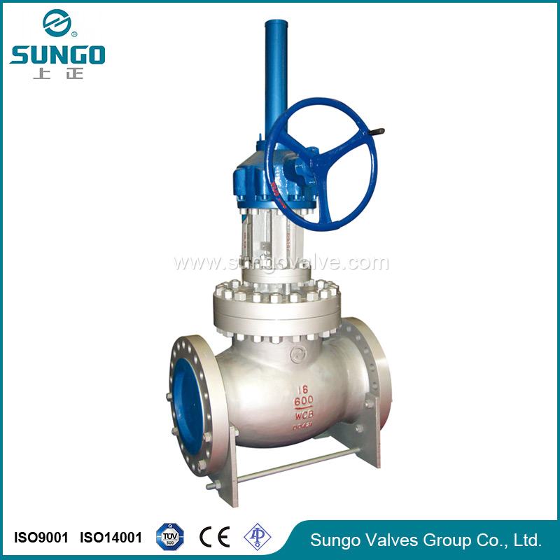 globe valve 6