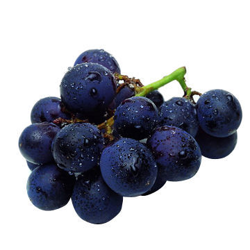 Fresh fruit import and export agency services, below 2% commission