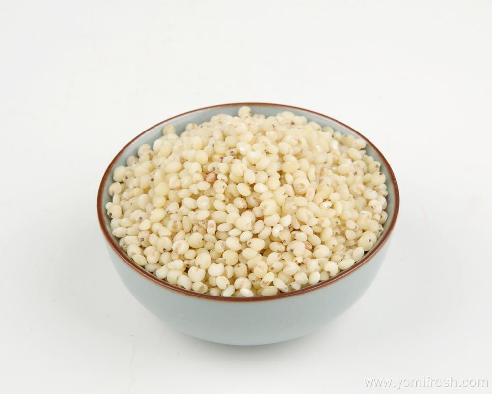 Sweet Sorghum Rice