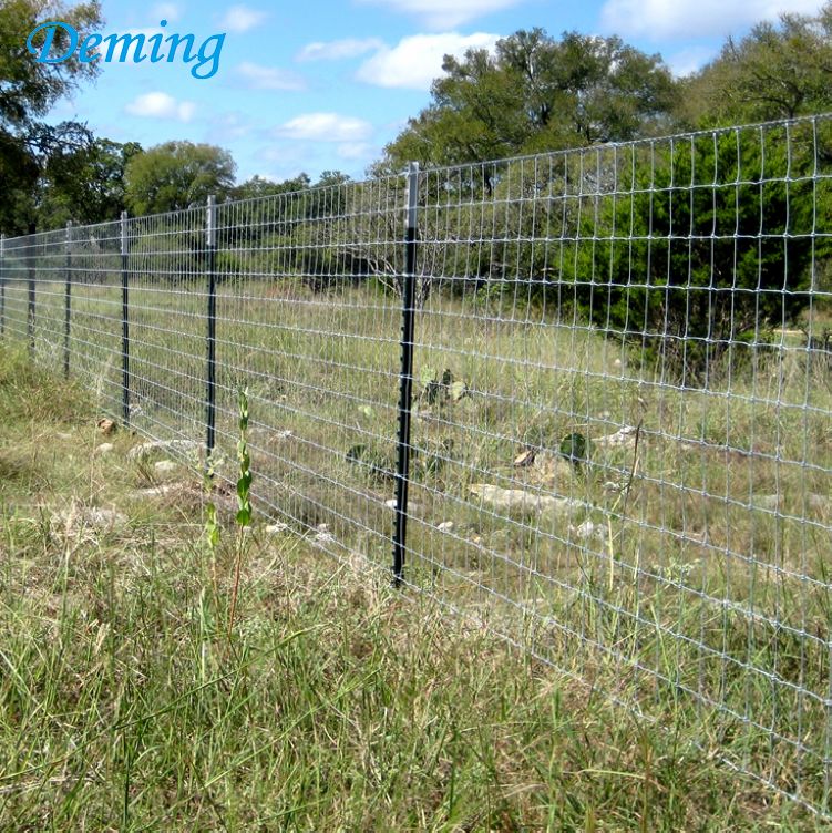 Green Painted Farm Fencing T Post Wholesale