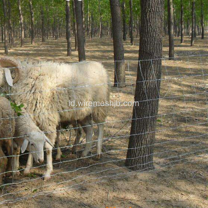 Woven Wire Field Fence Untuk Rusa Dan Kambing