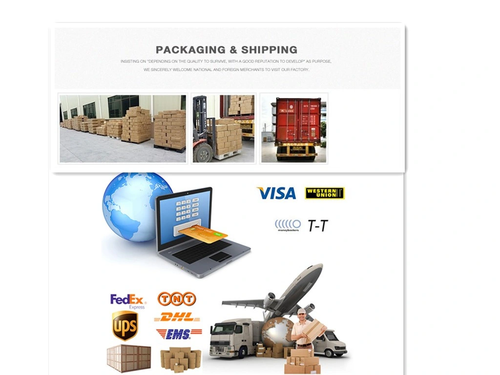 Ready to Ship Innosilicon T2t 30t Blockchain Miner