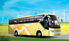 Bus, Passenger Buses