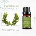 Wholesale 100% Pure Natural Bay LaurelLeaf Essential Oil