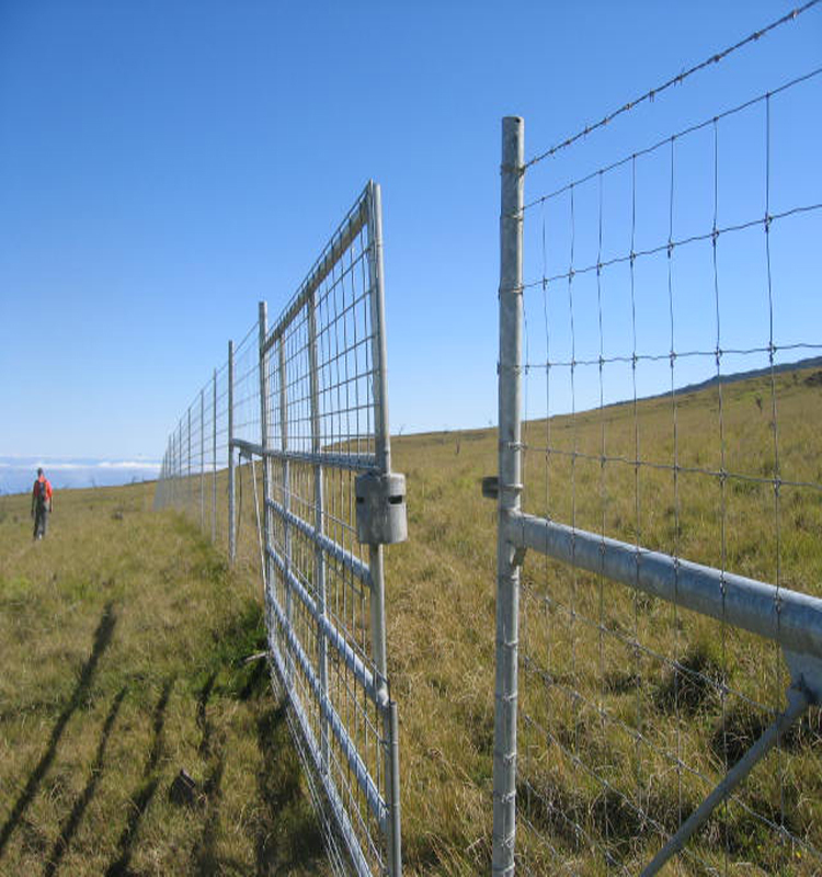 8' fixed knot galvanized pig and goat wire fence, high tensile bonnox fence wire for farm use