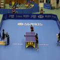 Tapis de tennis de table interlock